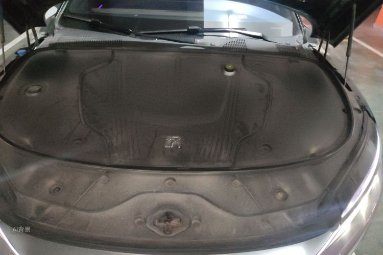 比亚迪 汉 2023 汽车图片 #22