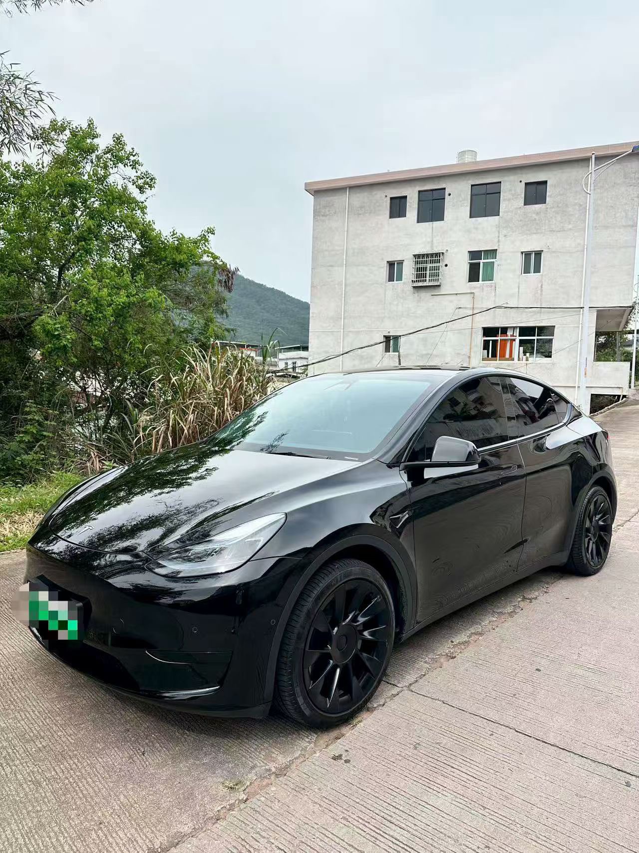 Tesla Model Y 2023 Tesla Model Y 2023 car image