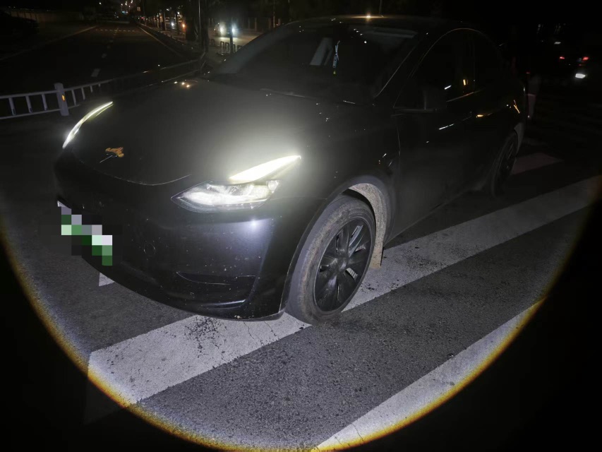 Tesla Model Y 2025 Tesla Model Y 2025 car image