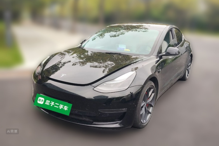 Tesla Model 3 2022 immagine di auto #2