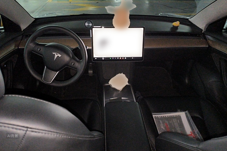 Tesla Model 3 2022 car image #11