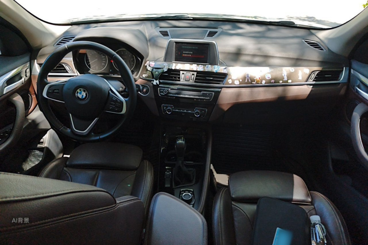 BMW X1 2018 car image #11
