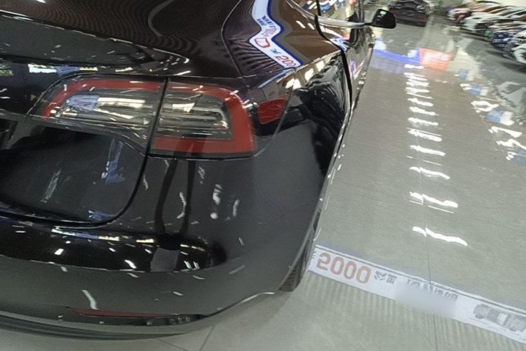 Tesla Model 3 2022 #8 Tesla Model 3 2022 car image #8