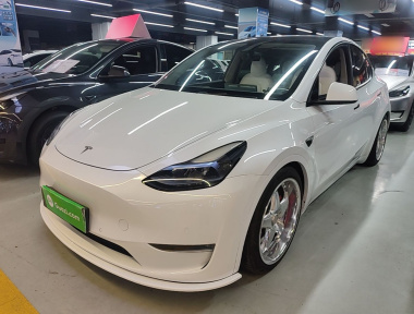 Tesla Model Y 2022 Tesla Model Y 2022 car image