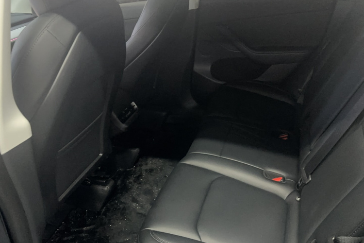 Tesla Model Y 2023 car image #10