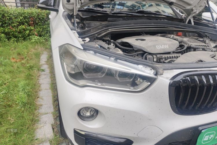 BMW X1 2019 car image #8