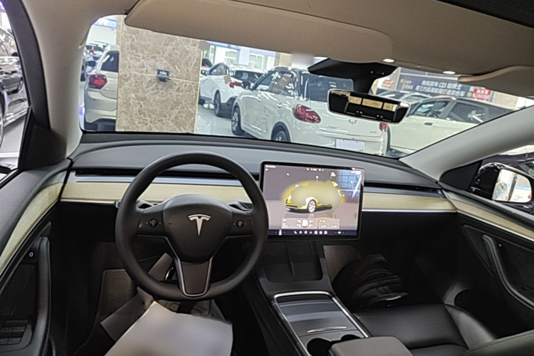 Tesla Model Y 2023 car image #10