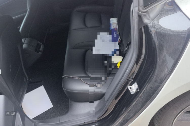 Tesla Model 3 2020 car image #19