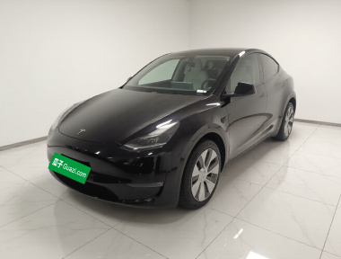 Tesla Model Y 2022 Tesla Model Y 2022 car image