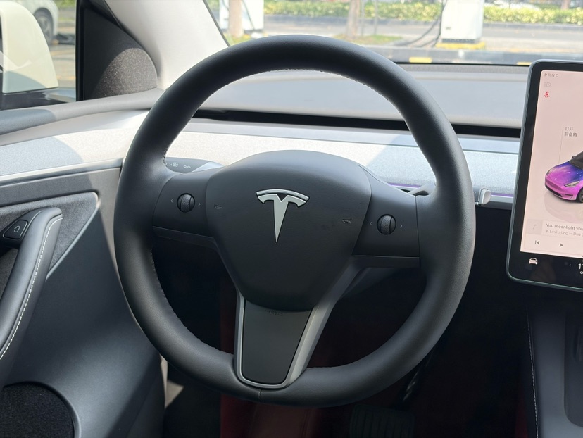 Tesla Model Y 2024 car image #12