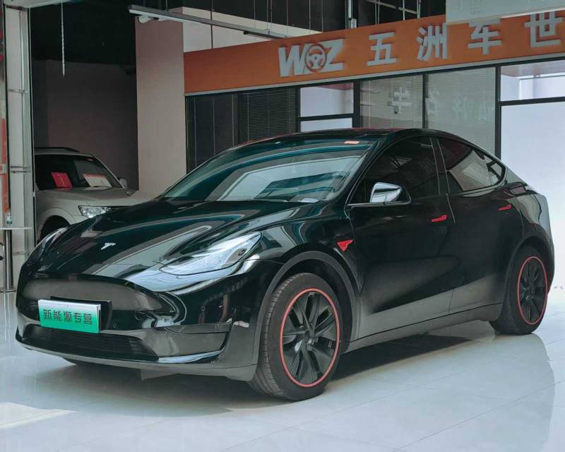 Tesla Model Y 2023 car image #3