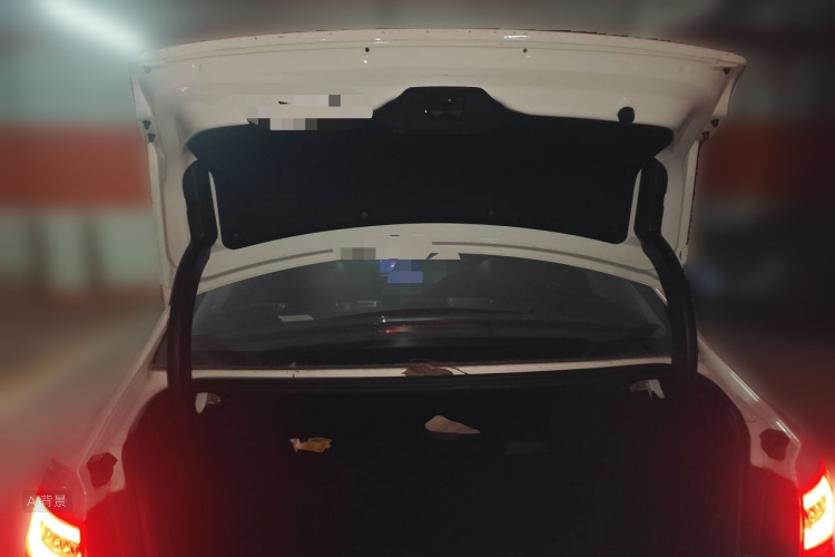 GEELY Emgrand GL 2020 car image #21
