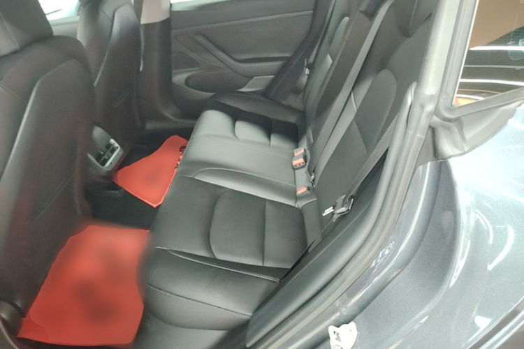 Tesla Model 3 2020 car image #17
