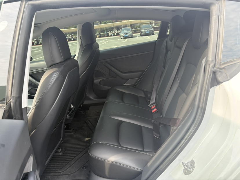 Tesla Model 3 2020 car image #9
