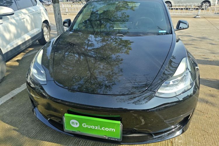 Tesla Model 3 2021 #3 Tesla Model 3 2021 car image #3