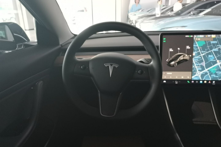 Tesla Model 3 2020 car image #11