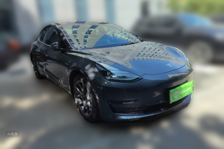 Tesla Model 3 2021 car image #4
