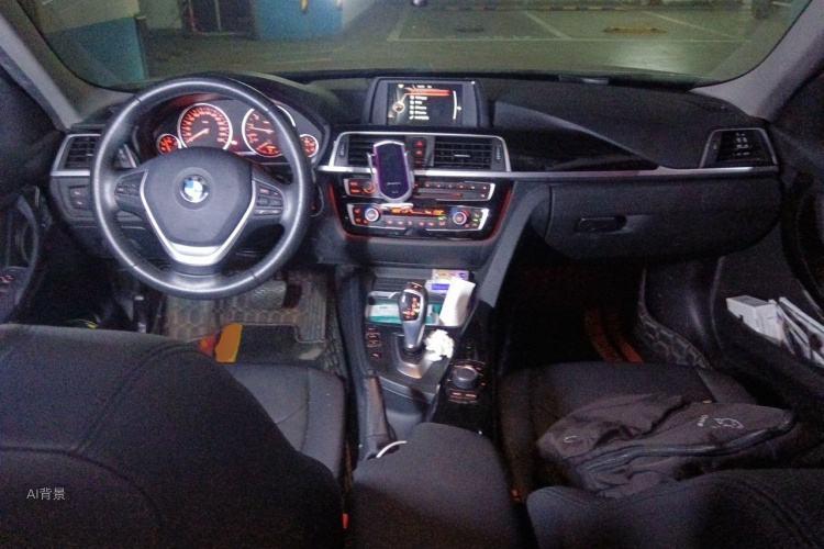 BMW 3 Series 2017 car image #11