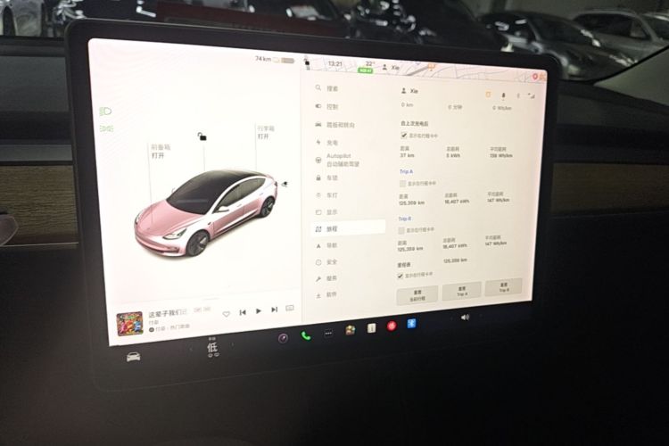 Tesla Model 3 2021 #13 Tesla Model 3 2021 immagine di auto #13