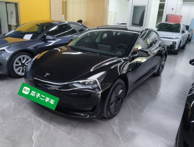 Tesla Model 3 2023 Tesla Model 3 2023 car image
