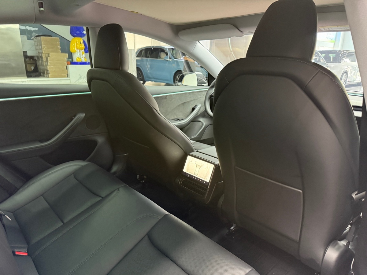 Tesla Model 3 2024 car image #8