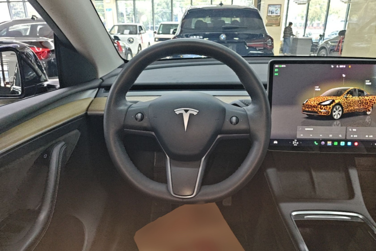 Tesla Model Y 2023 #11 Tesla Model Y 2023 car image #11