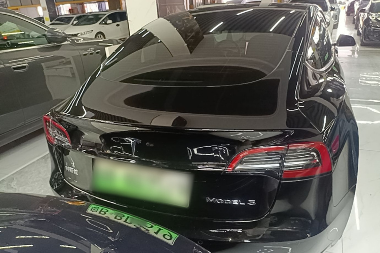Tesla Model 3 2023 car image #6