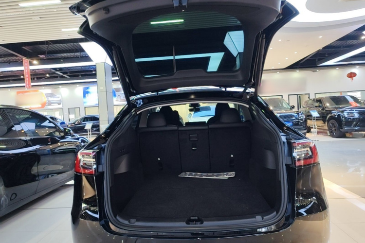 Tesla Model Y 2024 immagine di auto #19