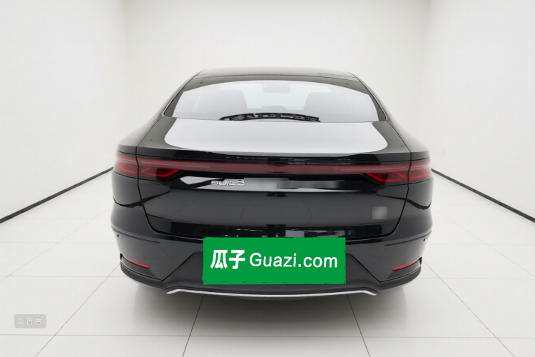 BYD Han 2022 #6 BYD Han 2022 immagine di auto #6
