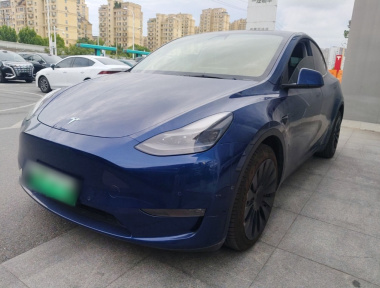 Tesla Model Y 2021 car image 