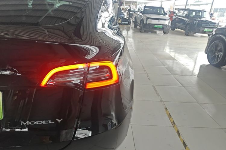 Tesla Model Y 2021 car image #8