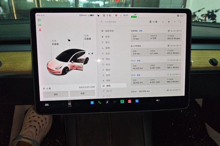 Tesla Model 3 2021 car image #12