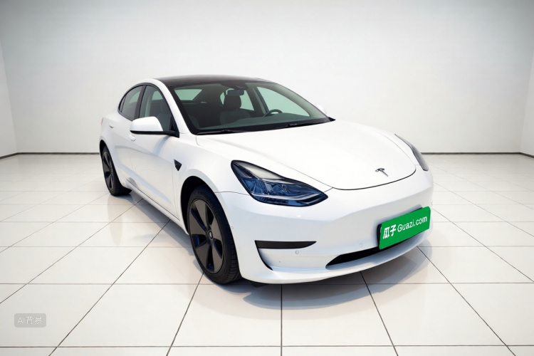 Tesla Model 3 2022 car image #4
