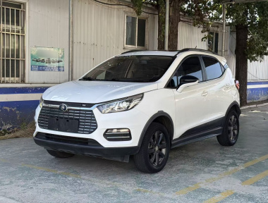 BYD Yuan New Energy 2019 car image 