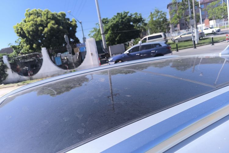 BYD Yuan Plus 2023 #23 BYD Yuan Plus 2023 image de voiture #23