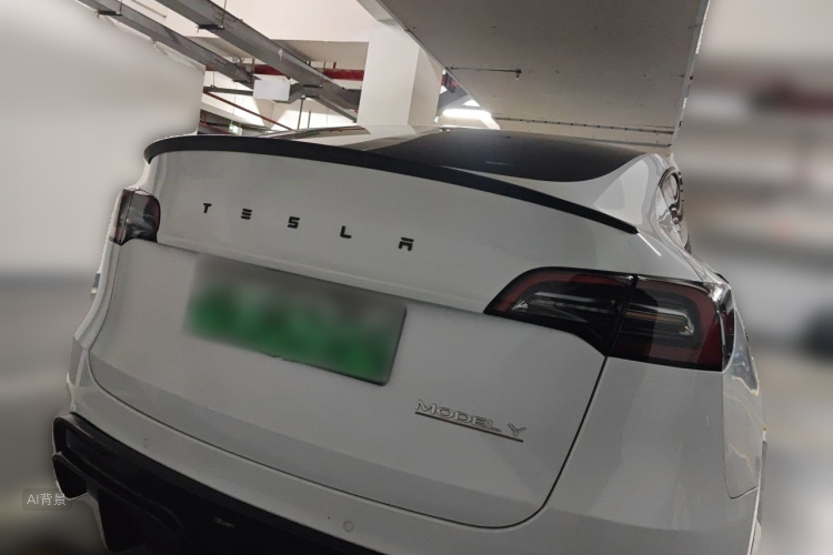 Tesla Model Y 2023 #6 Tesla Model Y 2023 car image #6