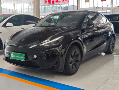 Tesla Model Y 2023 Tesla Model Y 2023 car image