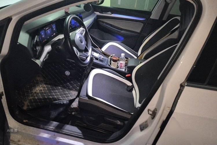 Volkswagen Golf 2021 #17 Volkswagen Golf 2021 car image #17
