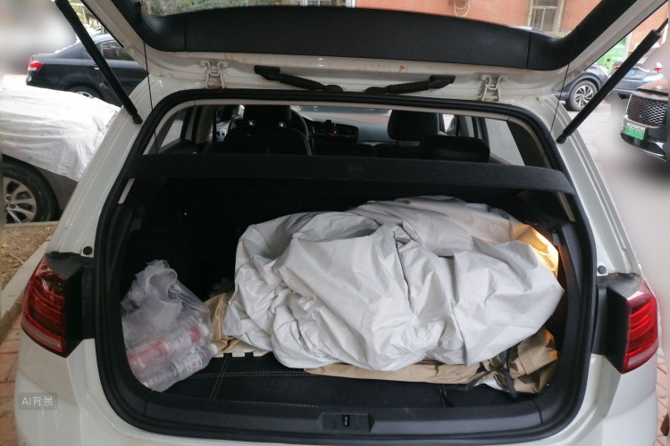 Volkswagen Golf 2019 car image #21