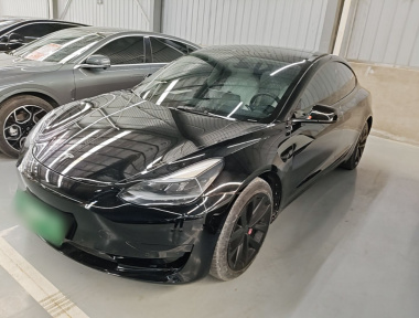 Tesla Model 3 2021 Tesla Model 3 2021 car image