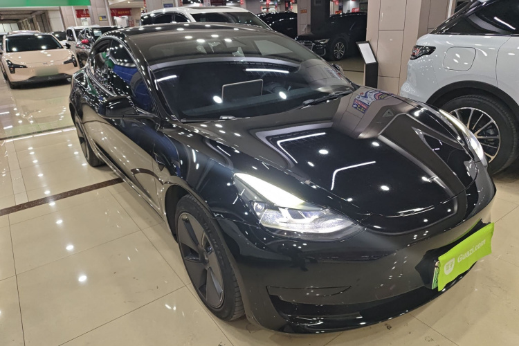 Tesla Model 3 2021 #4 Tesla Model 3 2021 immagine di auto #4