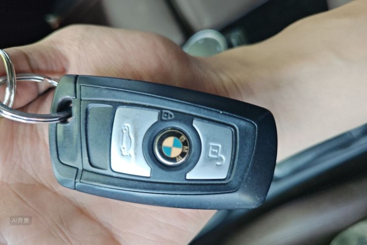 BMW 3 Series 2018 car image #10