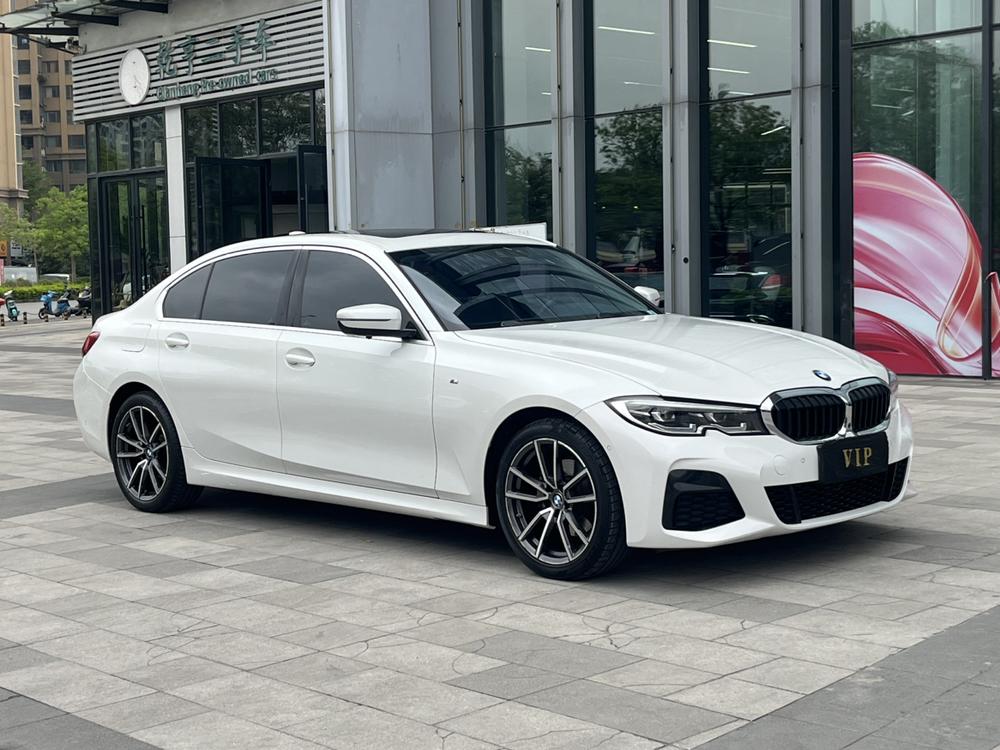 BMW 3 Series 2019 car image #3