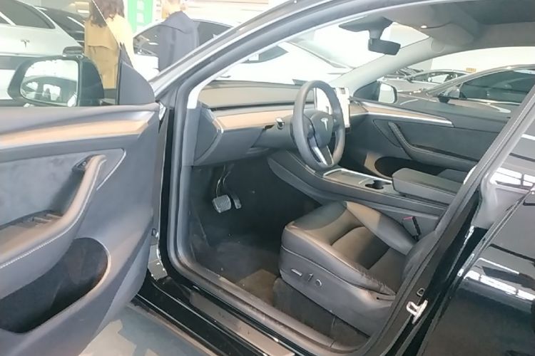 Tesla Model Y 2021 car image #16