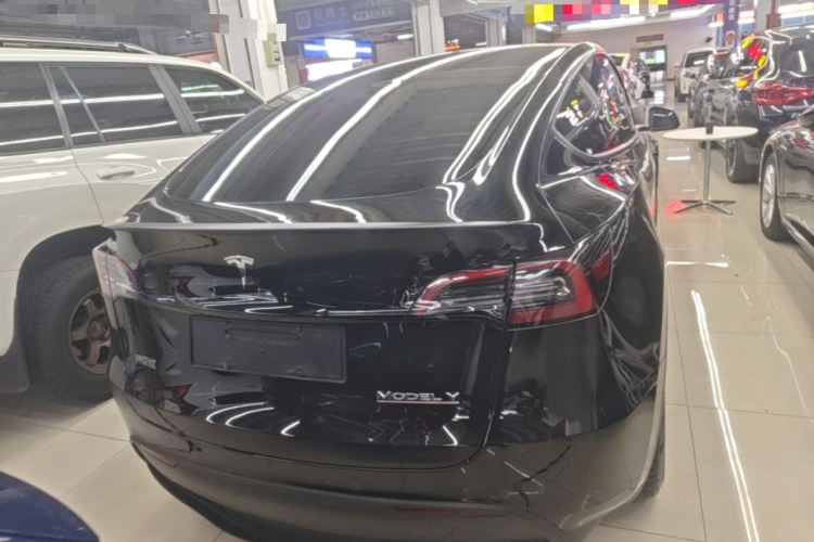 Tesla Model Y 2022 immagine di auto #6