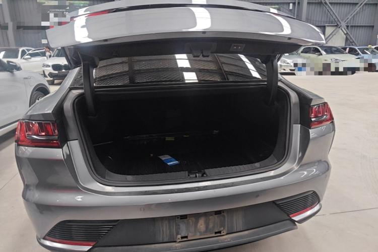 BYD Han 2021 #19 BYD Han 2021 immagine di auto #19