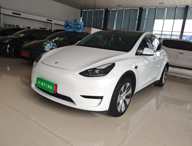 Tesla Model Y 2022 car image 