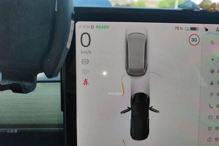 Tesla Model 3 2021 car image #13