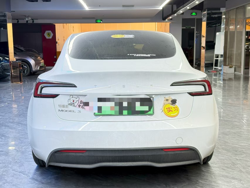 Tesla Model 3 2024 car image #6