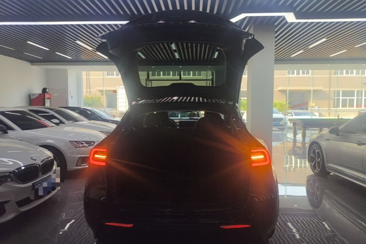 Tesla Model Y 2024 car image #19